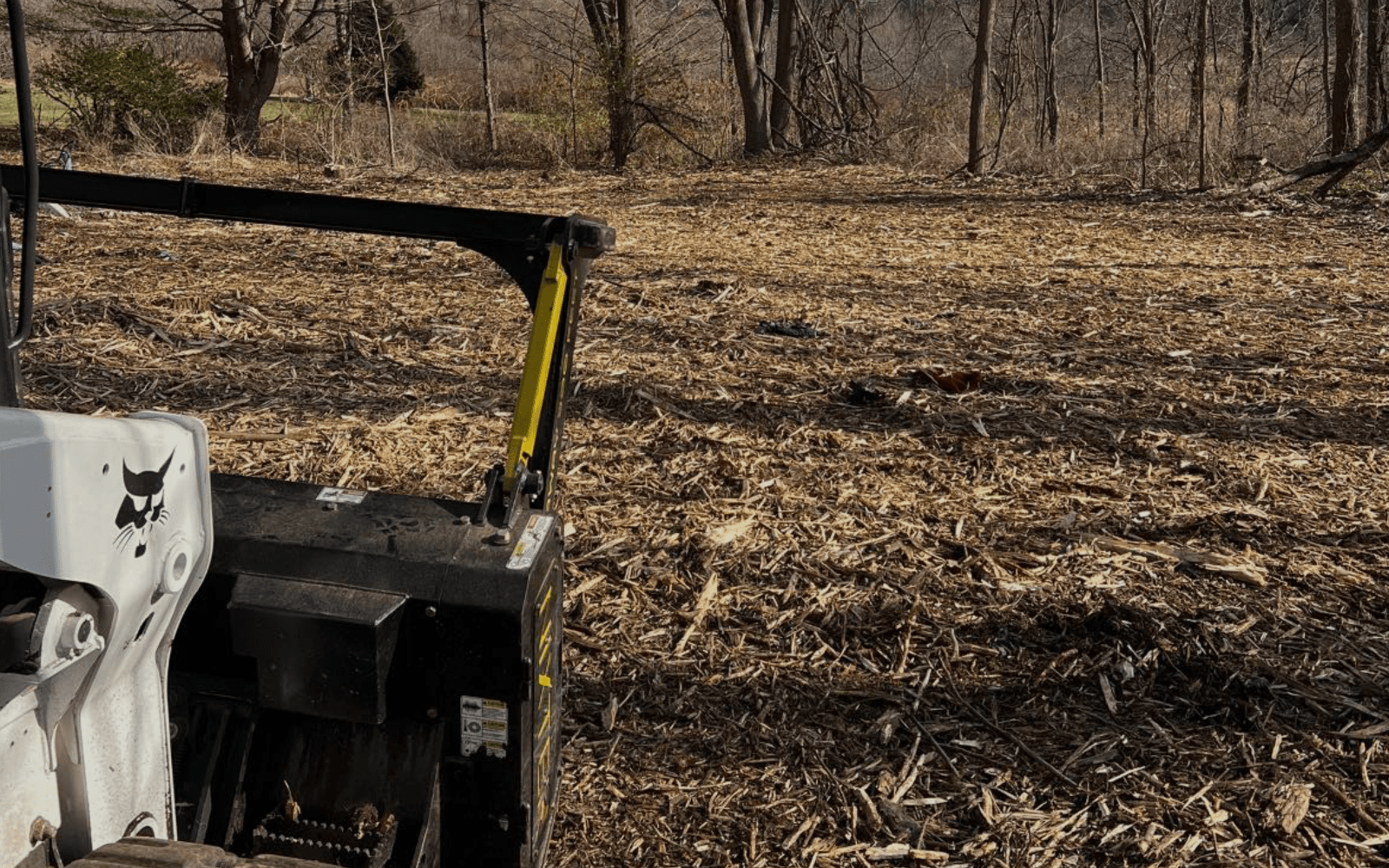Forestry Mulching